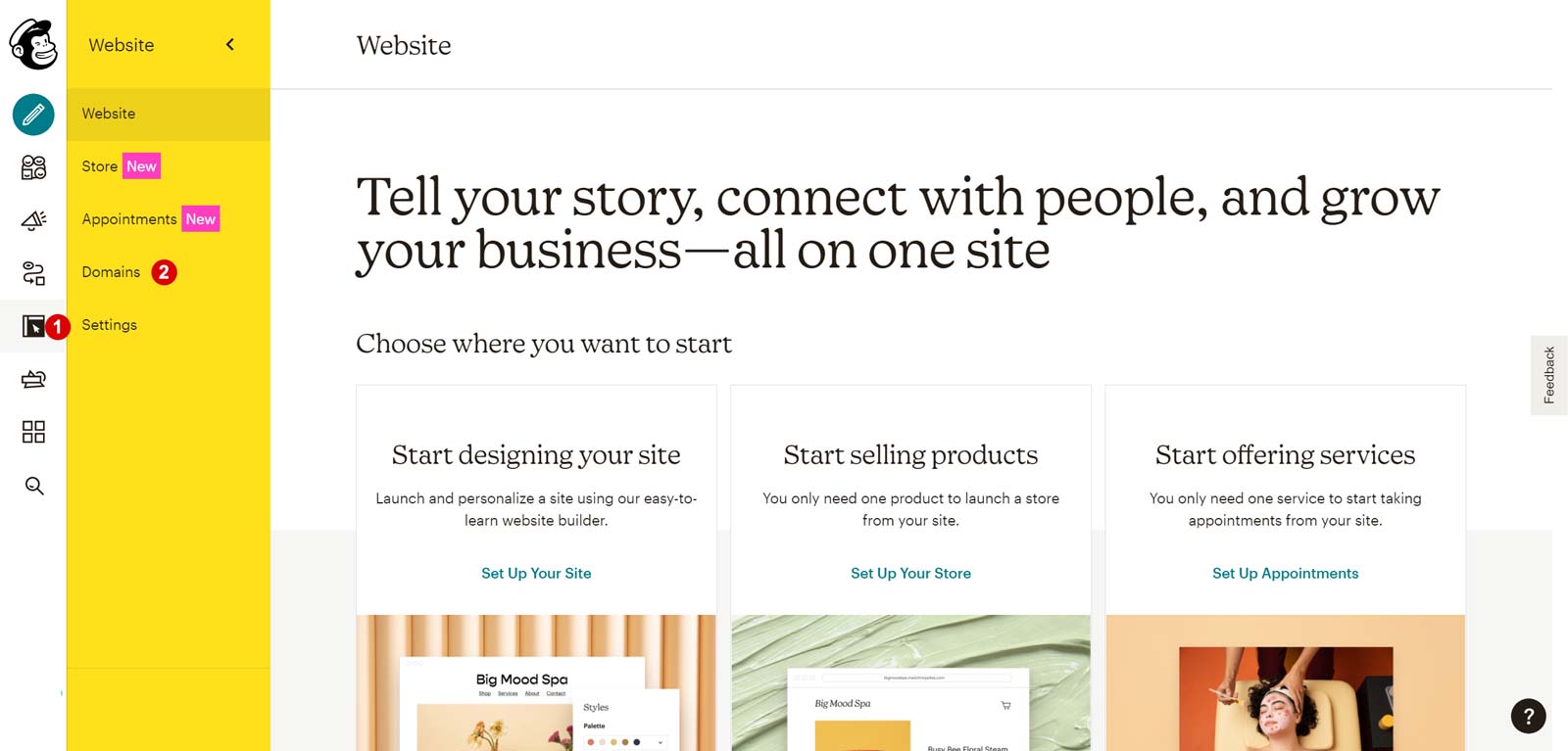 Mailchimp nastavitve domene